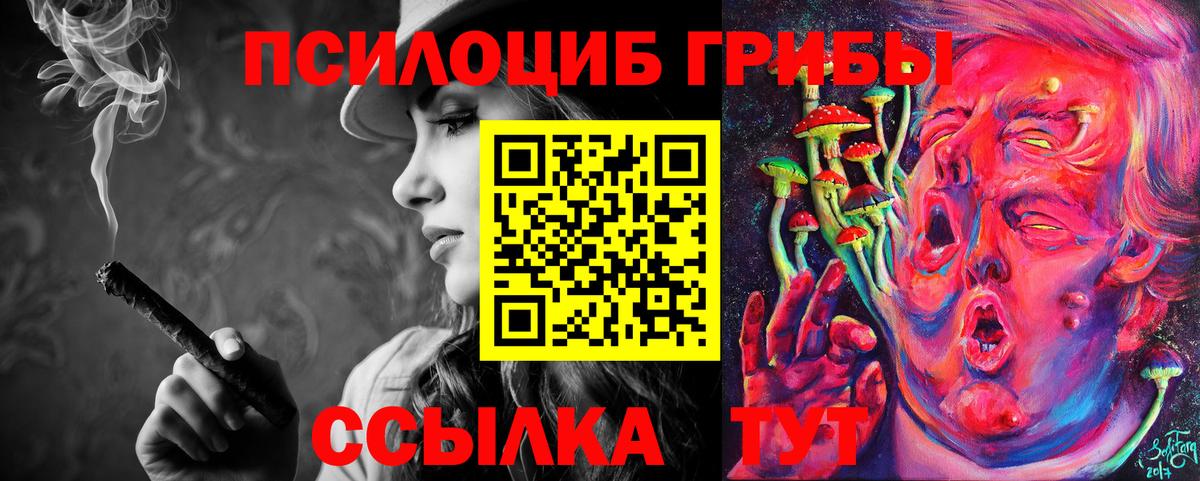 Шебекино  Псилоцибиновые грибы Magic Shrooms  Вход с VPN  дарнет шоп  Псилоцибиновые грибы Psilocybine cubensis 